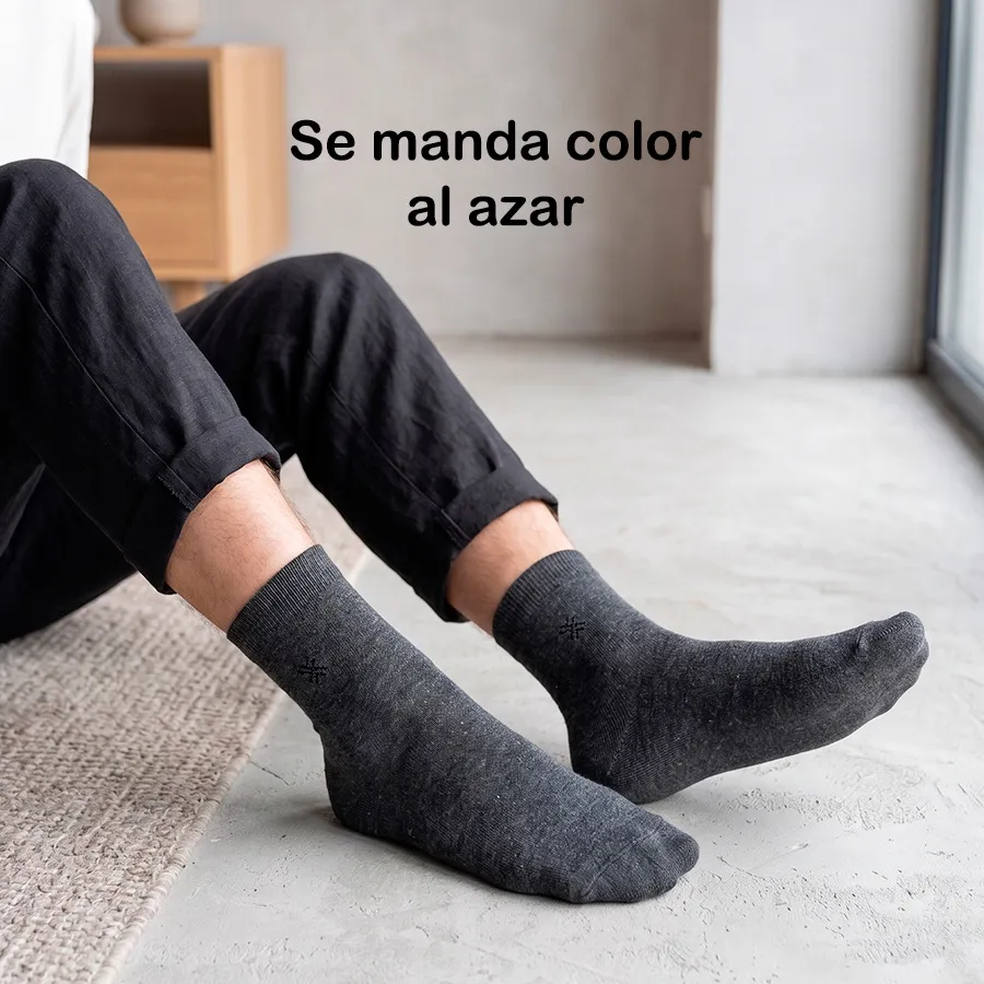 AT1006 EDICION 11801